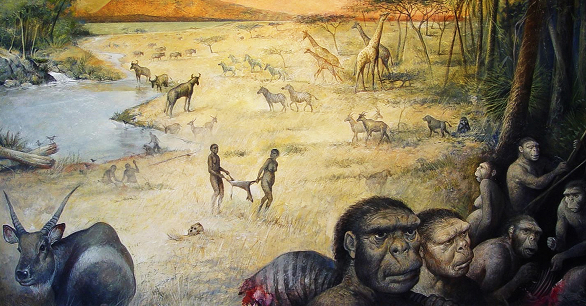 Early human ancestors habitat