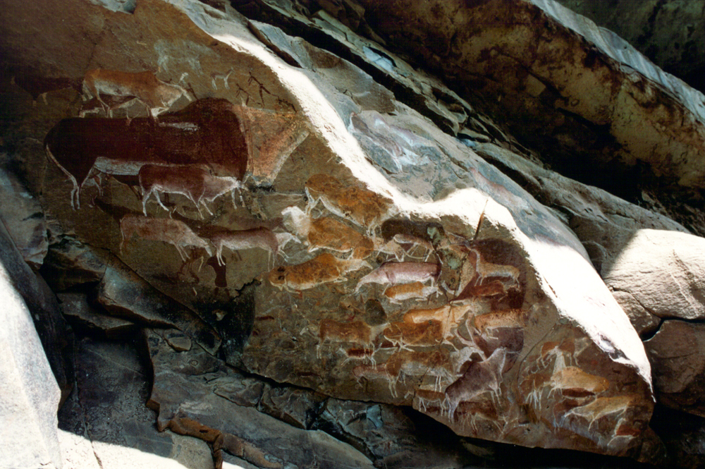 Eland depicted in San rock art of the Drakensberg