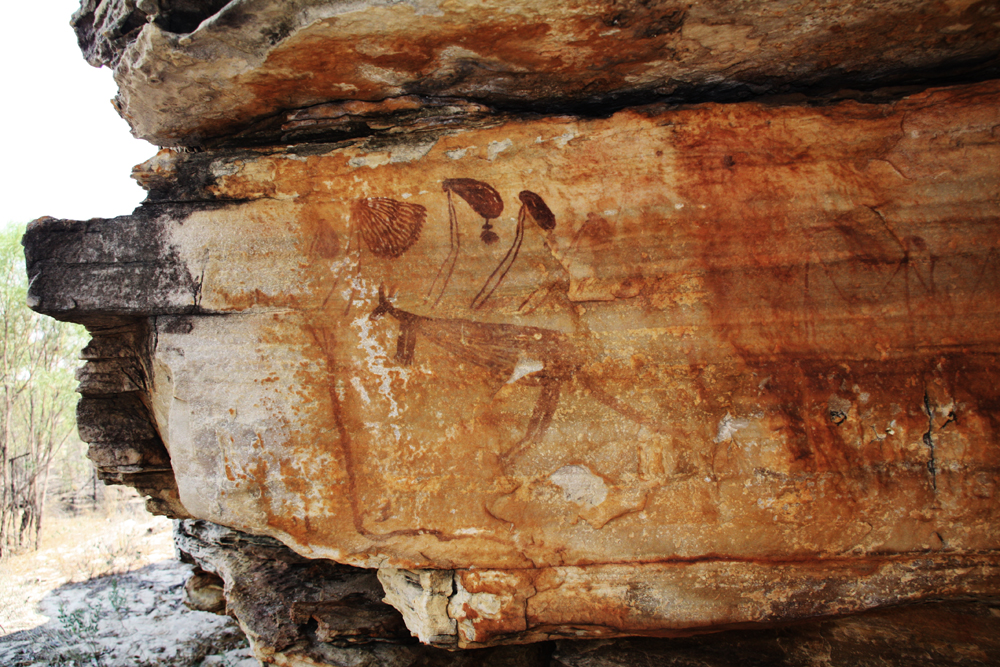Rock Art of Australia in danger due to lack of policy concerning ancient cave paintings and rock engravings