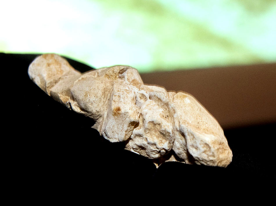 Palaeolithic figurine discovered in France