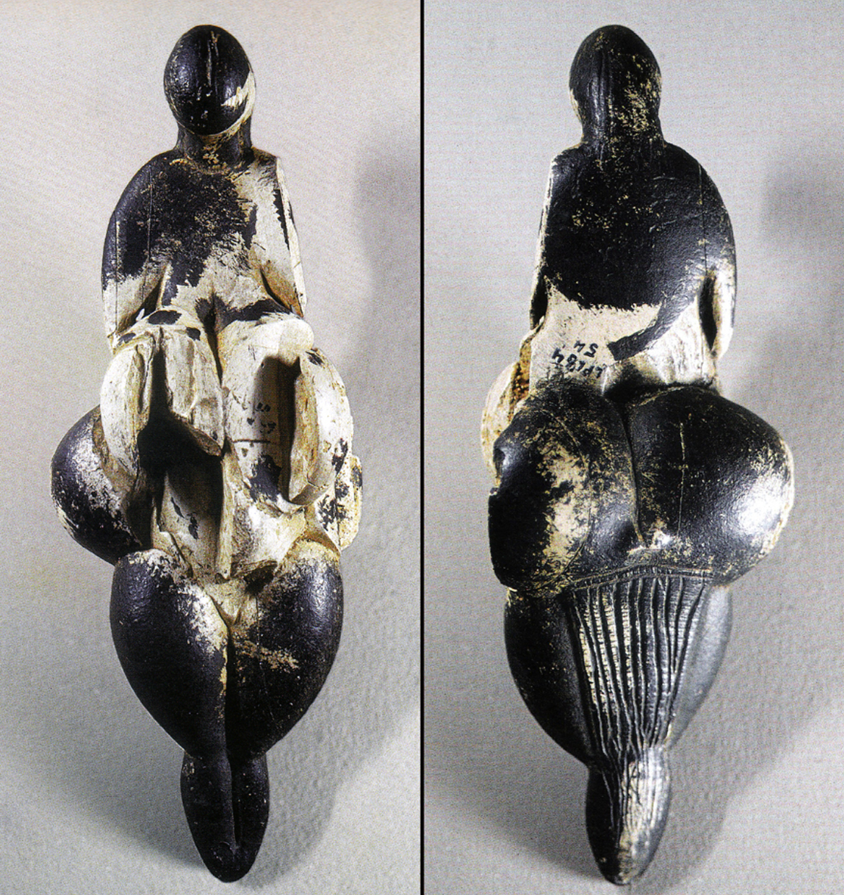Palaeolithic figurines Lespugue sculptures women