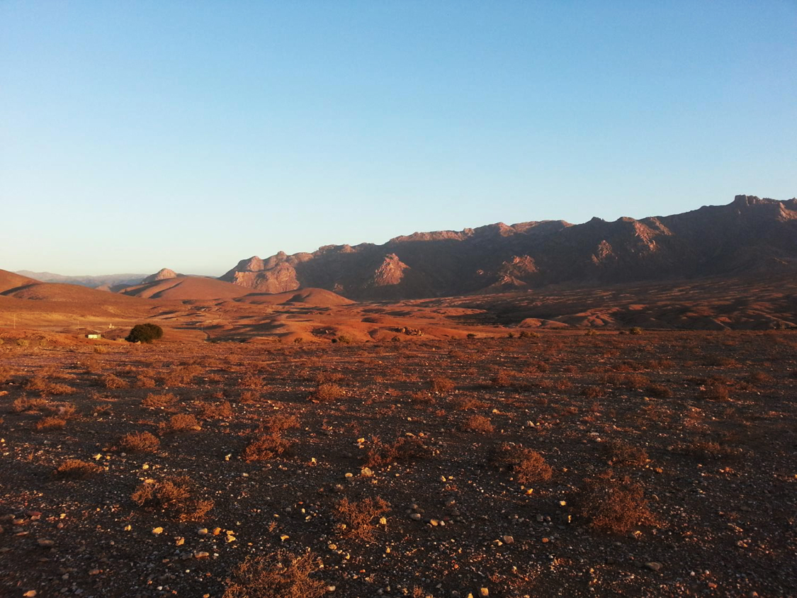 Kalahari Desert genetics and geography