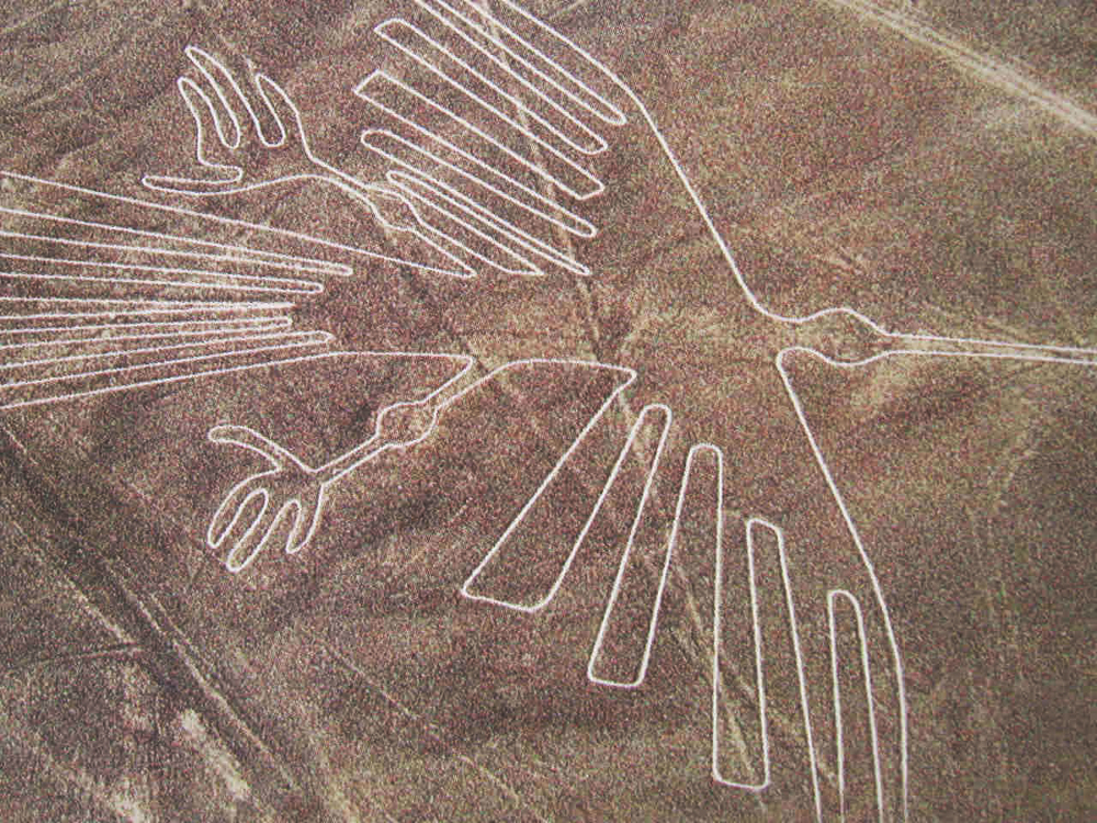 humming bird geoglyph in peru