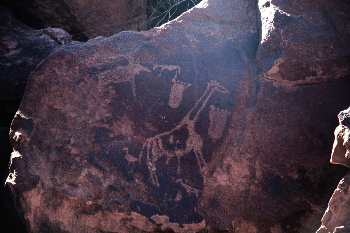 Symbols in the rock engravings of Namibia, Africa