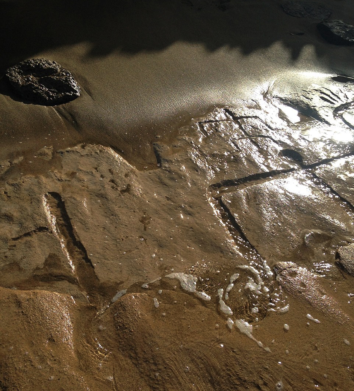 Petroglyphs in Hawaii