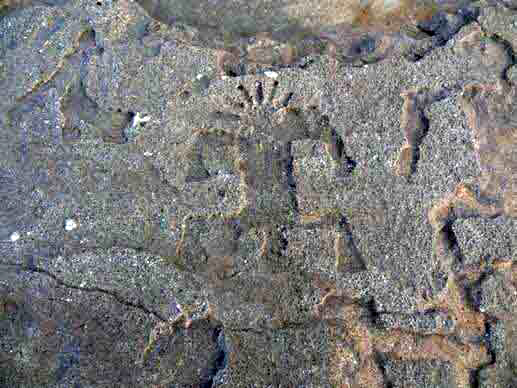Petroglyphs in Hawaii