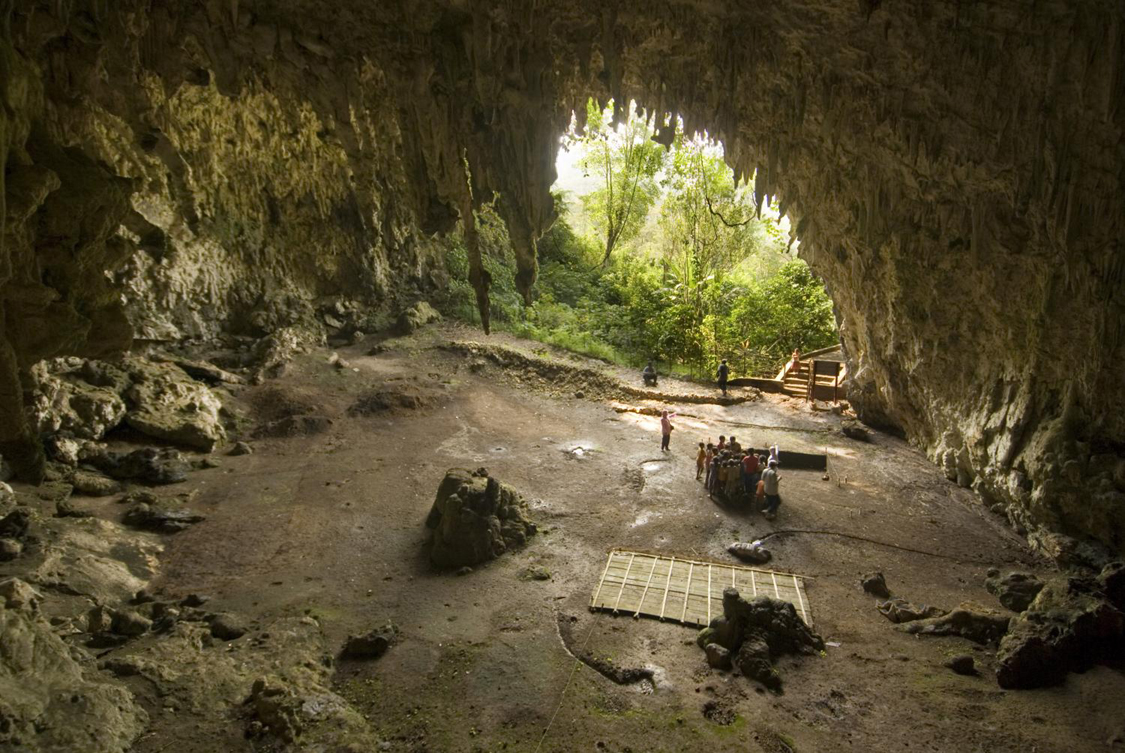 Hobbit demise may have been caused by modern humans