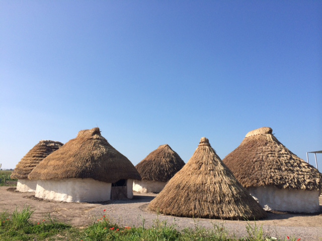 neolithic houses constructed at stonehenge