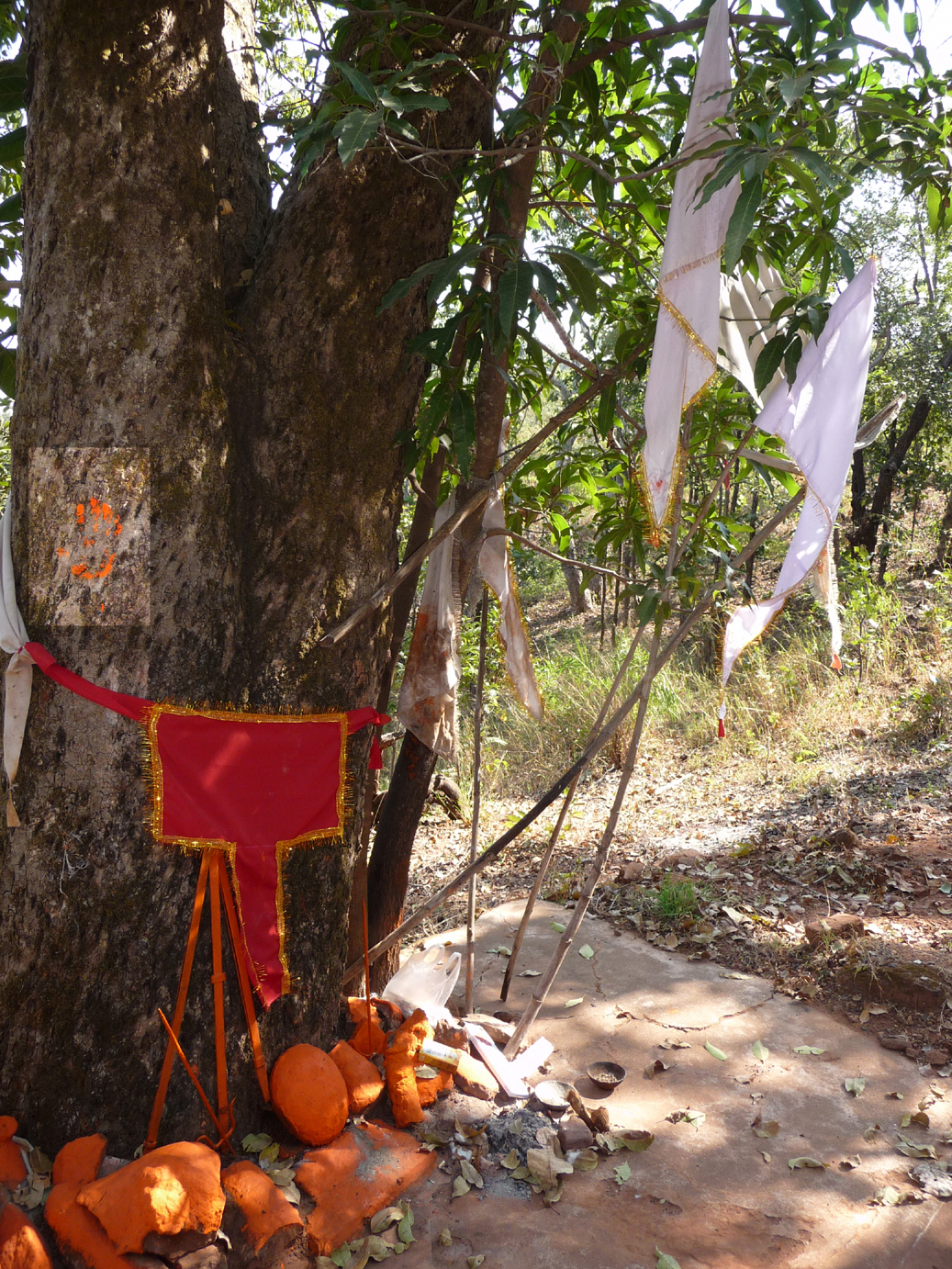 Hand prints in the tribal art of India