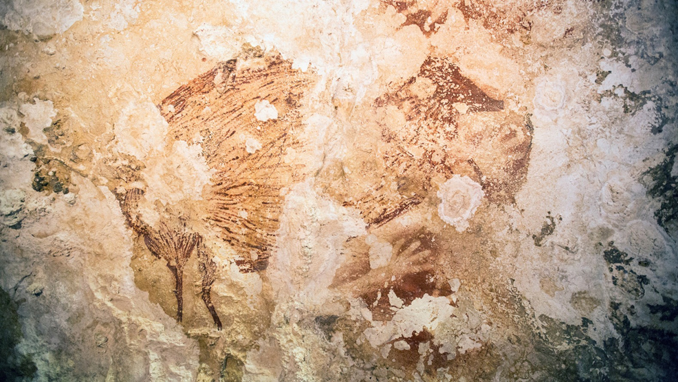 the oldest animal painting of a babirusa 'pig-deer' at the same site
