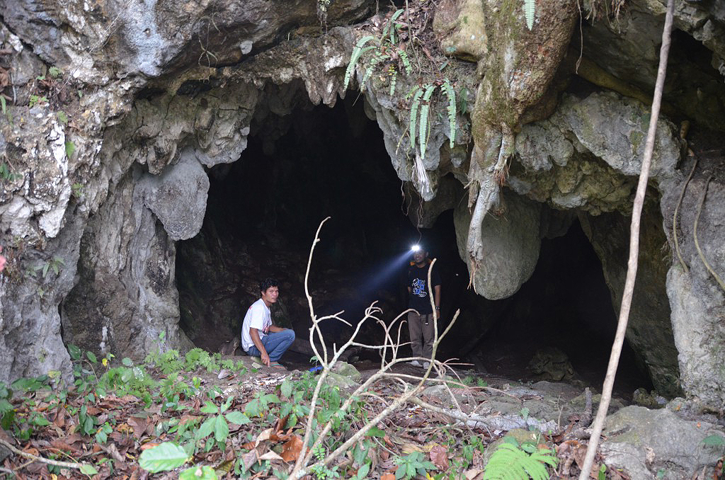 Humans in rain forests of Indonesia 70,000 years ago