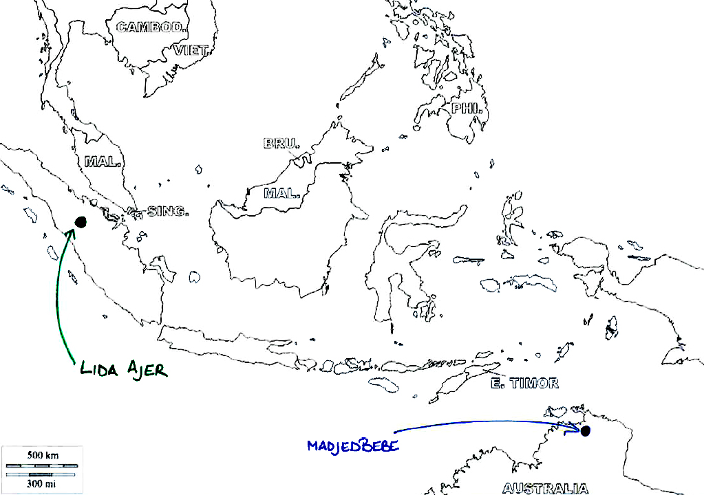 Humans in rain forests of Indonesia 70,000 years ago 