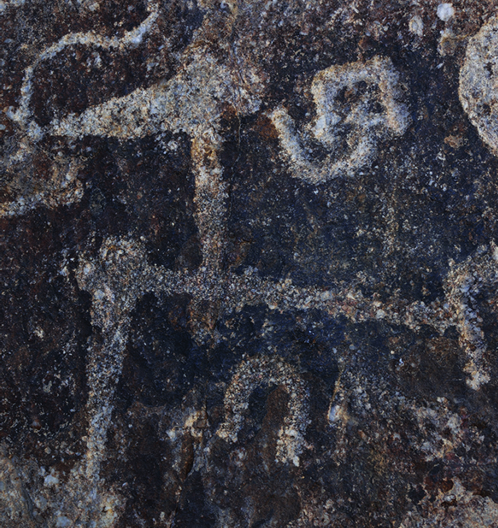 Rock art discovered in Iran