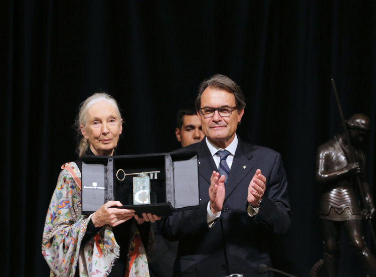 Jane Goodall, winner of the award Premi Internacional Catalunya 2015