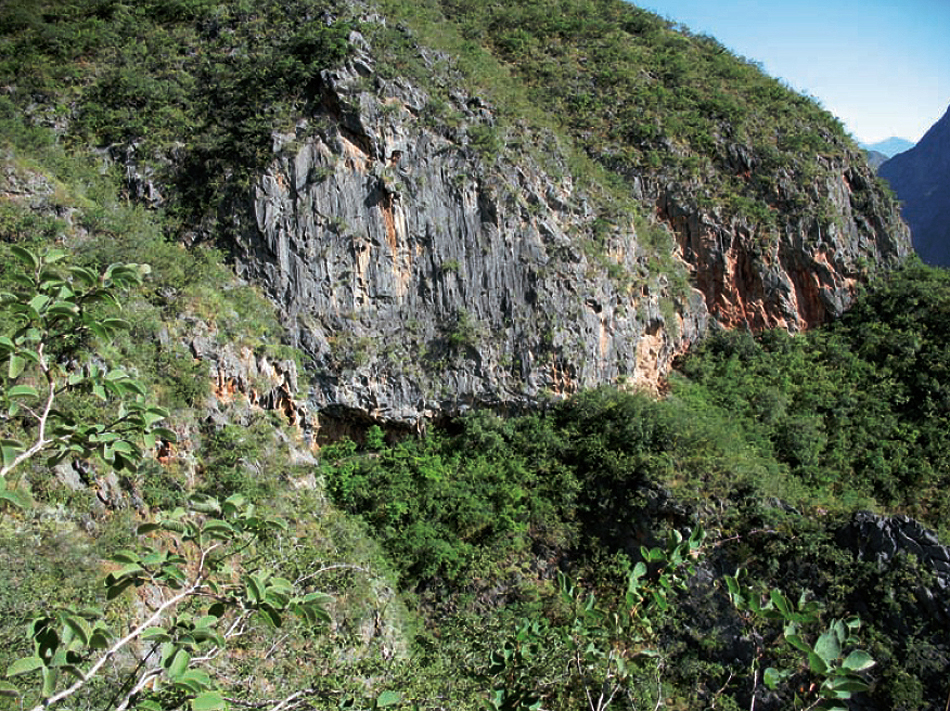 China's Jinsha River rock art