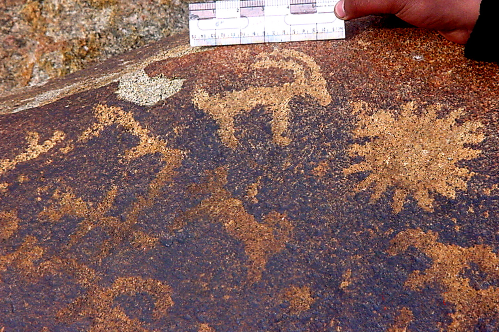 Petroglyphs of Ladakh