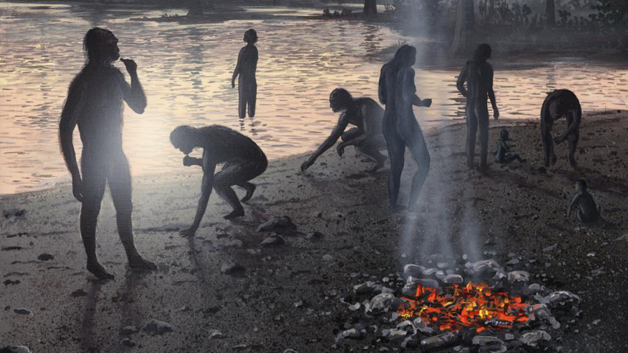 Lake Turkana and human evolution