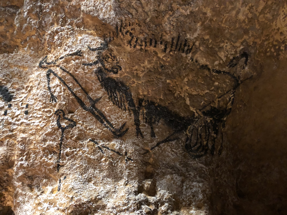 Humans ancient cave art self-obsessed age ancient ancestors Lascaux France Palaeolithic
