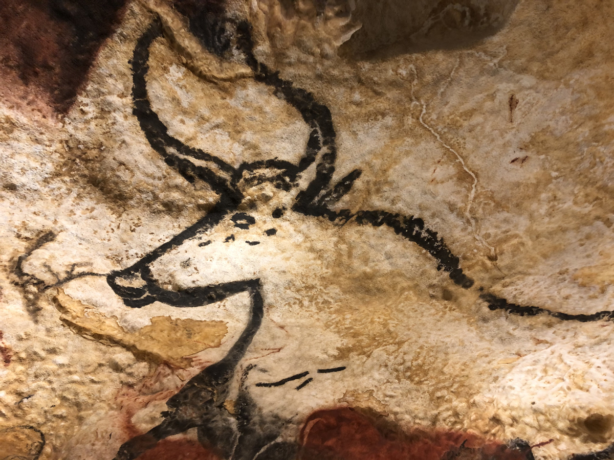 Humans ancient cave art self-obsessed age ancient ancestors Lascaux France Palaeolithic