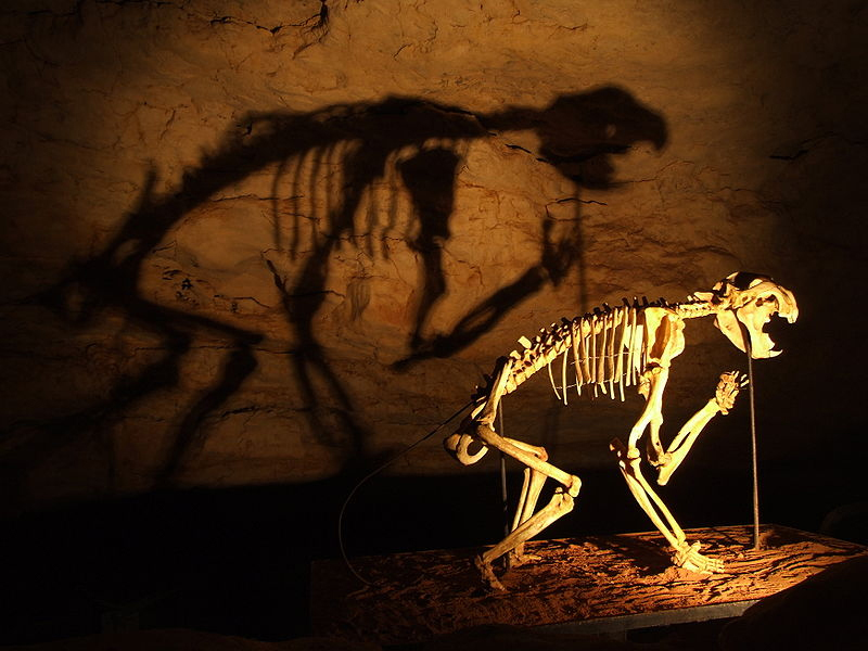Linking Australian megafauna extinction to arrival of humans