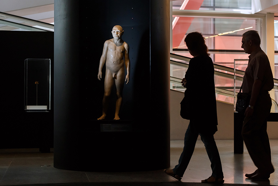 homo antecessor at museum of human evolution in spain