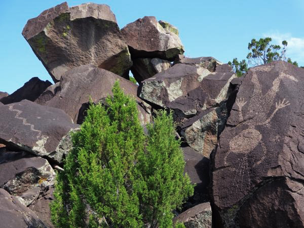 Preserving the rock art in New Mexico