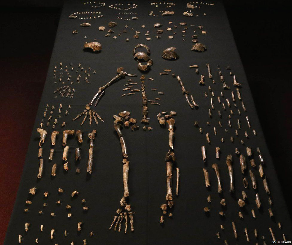 New human species discovered in South Africa