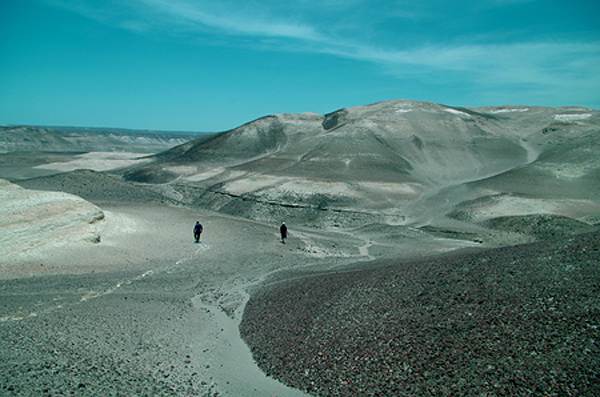 Rock Art Carvings Petroglyps Peru