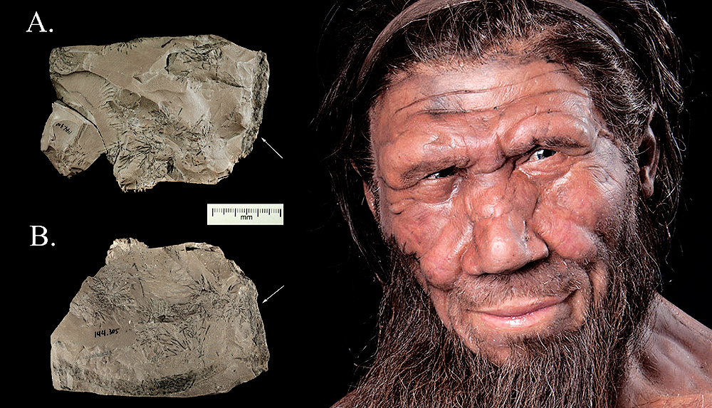 Neanderthal rock artefact