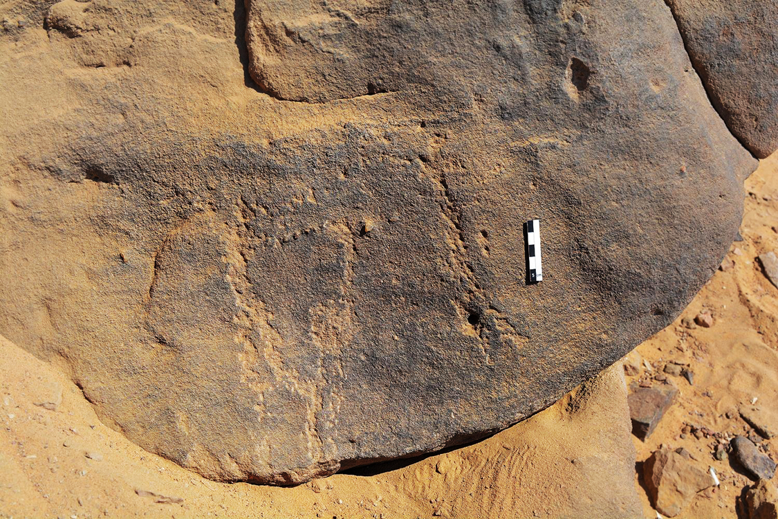 Neolithic engravings discovered in Egypt