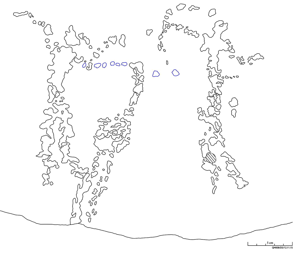 Neolithic engravings discovered in Egypt