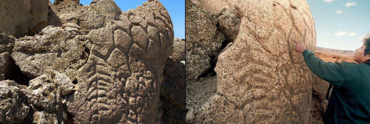 Petroglyphs discovered in Nevada