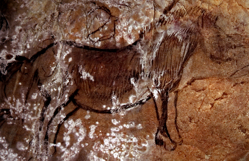 Niaux Cave in France with rock art of horses