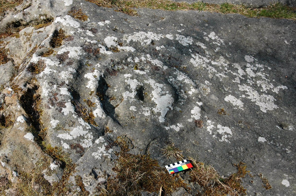 the rock art of Northumberland and the work of Dr Aron Mazel