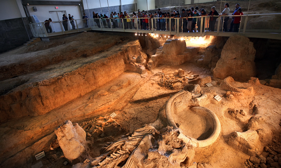 Waco Mammoth site in Waco, Texas