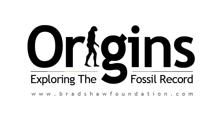 Origins Exploring Fossil Record Evolution Homo floresiensis