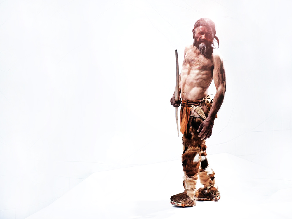 Otzi the Iceman's last meal