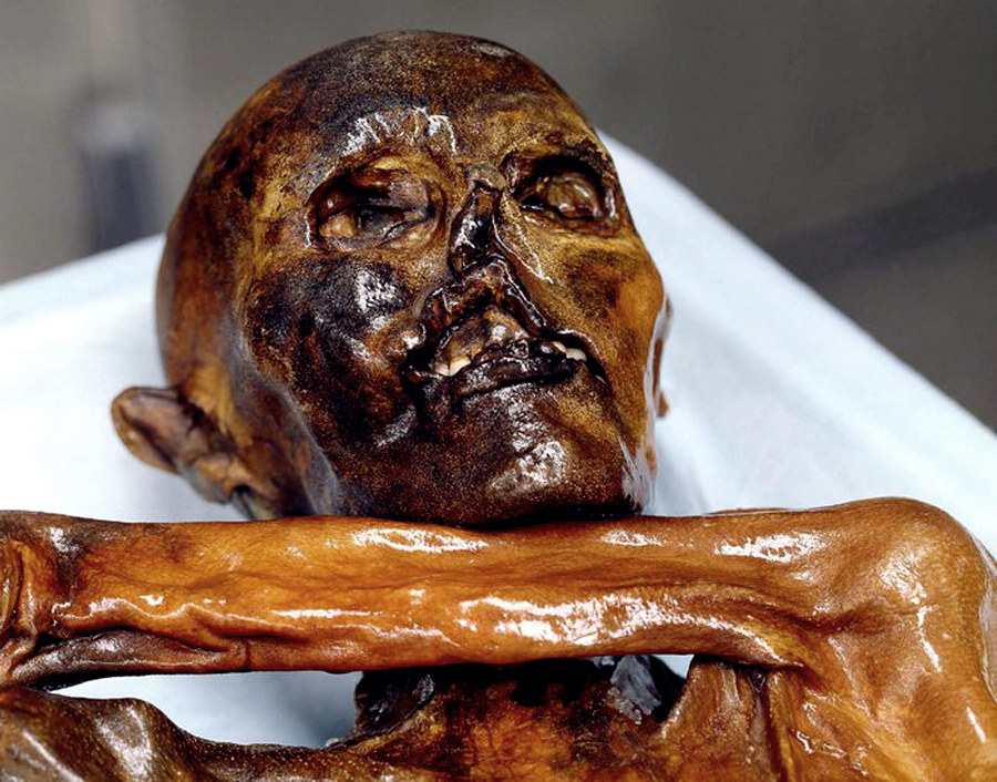 Otzi the Iceman at the South Tyrol Museum of Archaeology