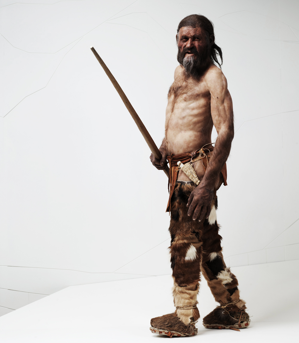 Ötzi the Iceman reconstruction at the South Tyrol Museum of Archaeology