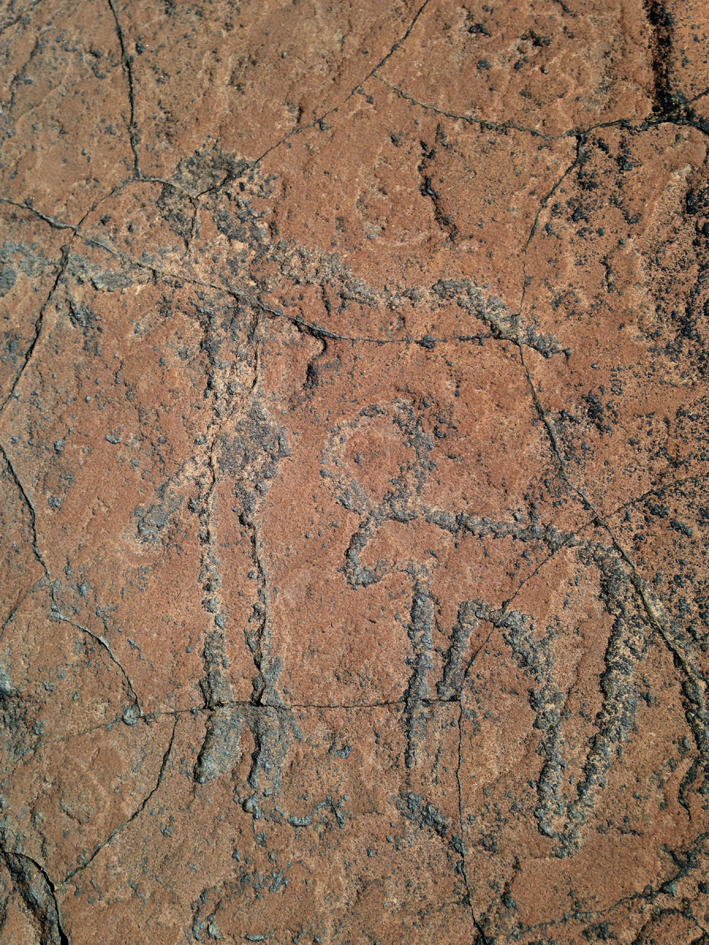 Rock engravings in Morocco