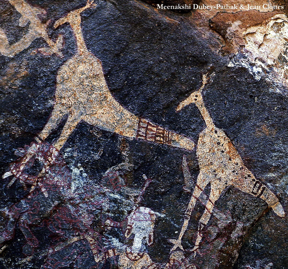 Peacocks in rock art in India