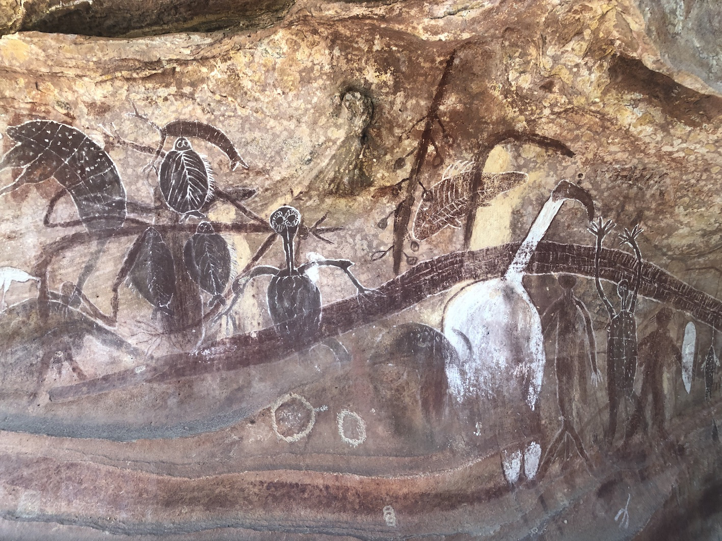
Quinkan Country Griffith University rock art researchers Australia Australian Research Council Linkage Project
