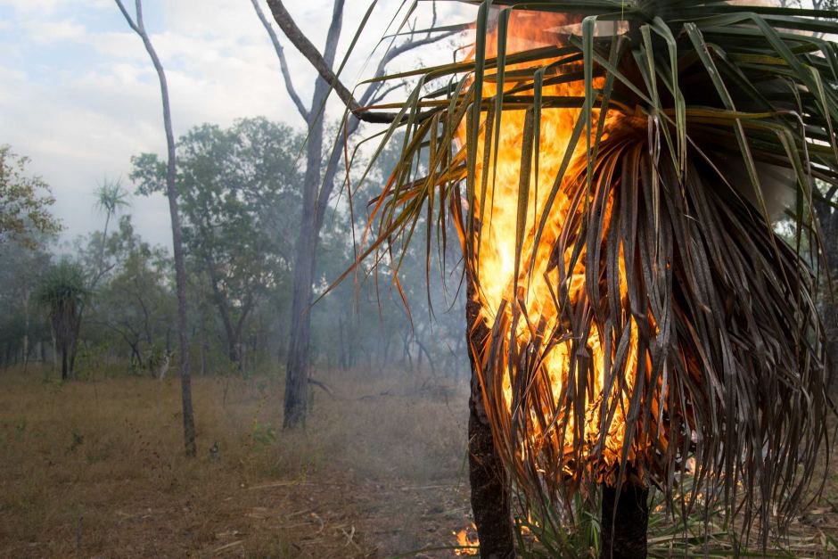  Aboriginal rangers discover rock art sites in Arnhem Land, Australia