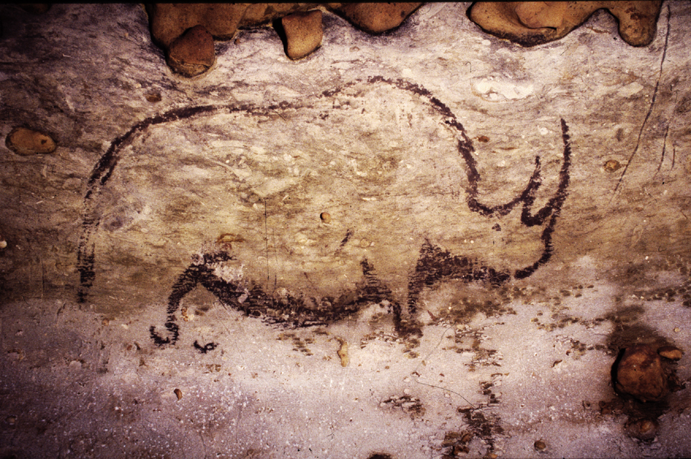 Cave art of Rouffignac