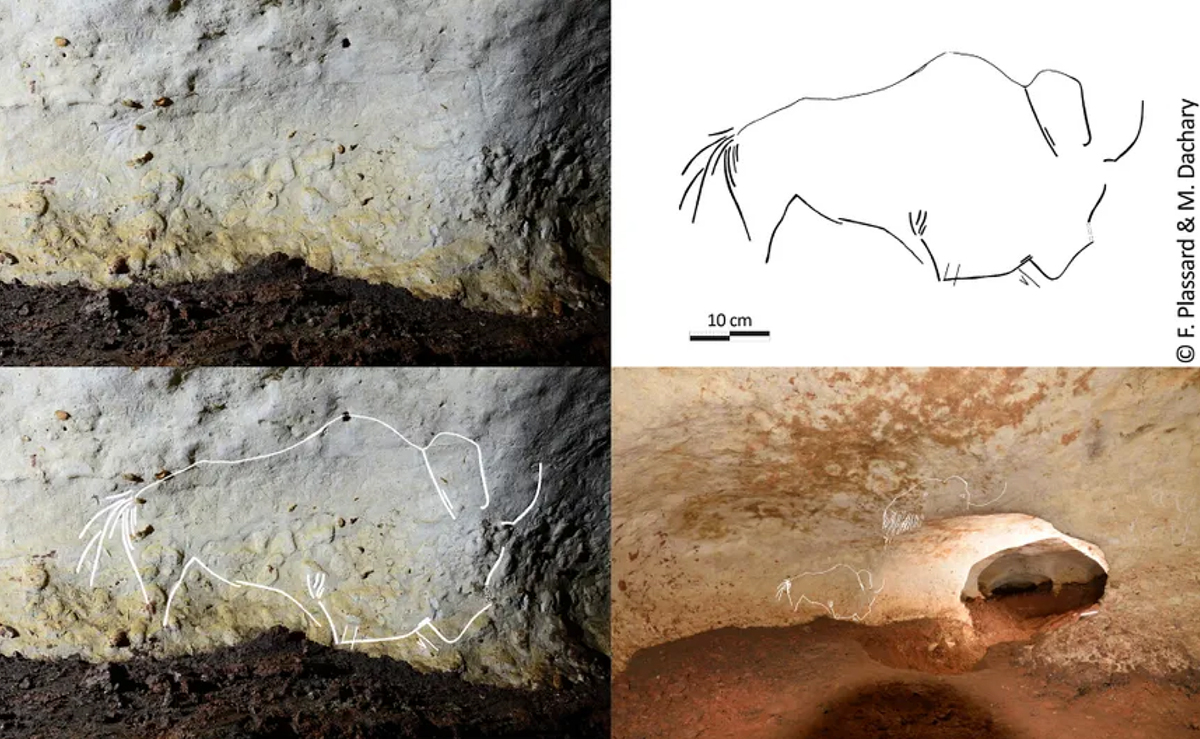 Dordogne drawings discovered Rouffignac cave discovery mammoths France Frédéric Plassard