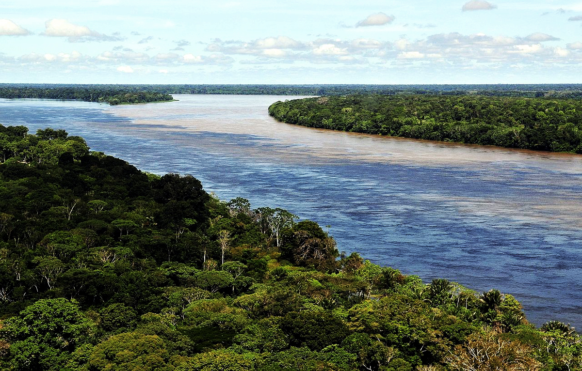 Ecosystem of South America