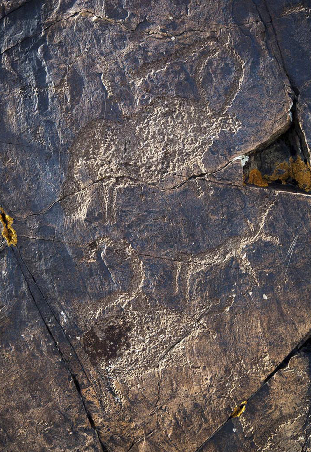 Discovery of petroglyph sequence at Kara Turug, Mongolia