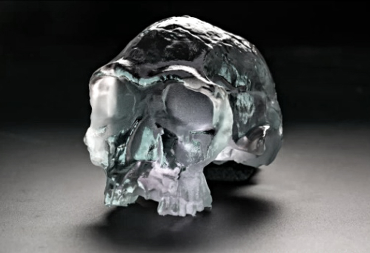 3-D printing of the Homo habilis skull