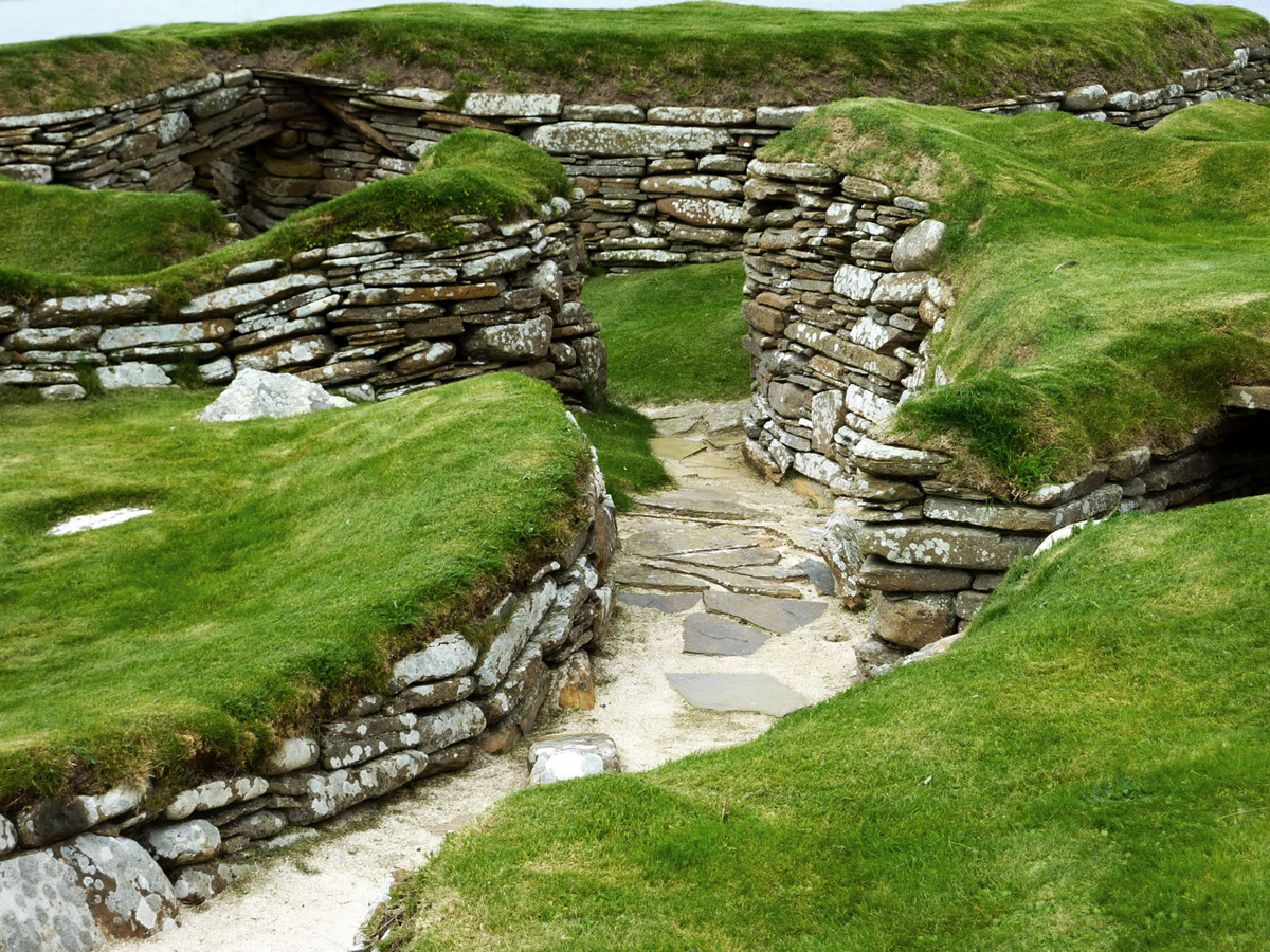 Neolithic cooking of voles at Skara Brae