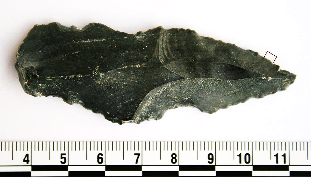 stone tools discovered in Jordan